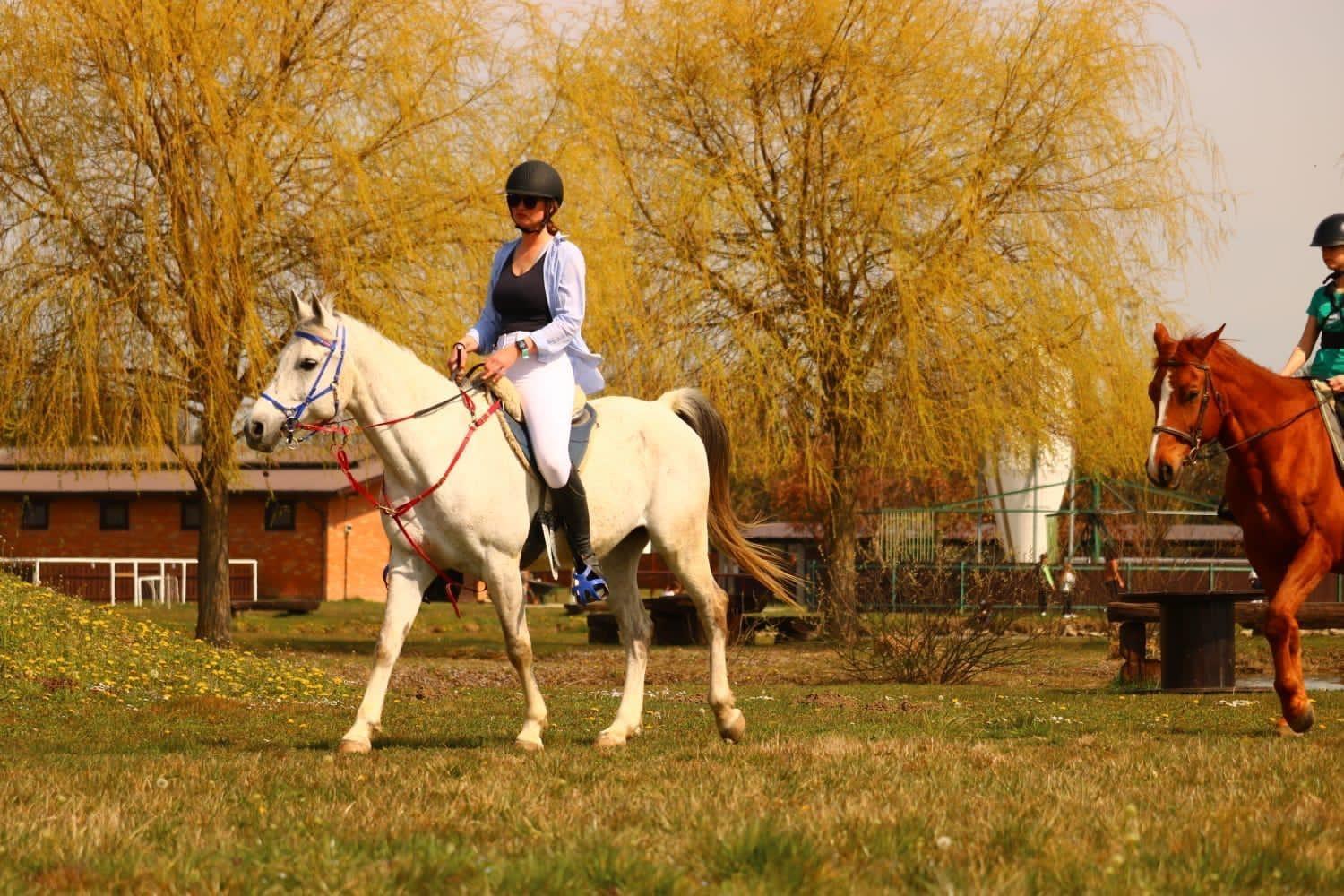 Вилла Ranc Ramarin Garcin Экстерьер фото